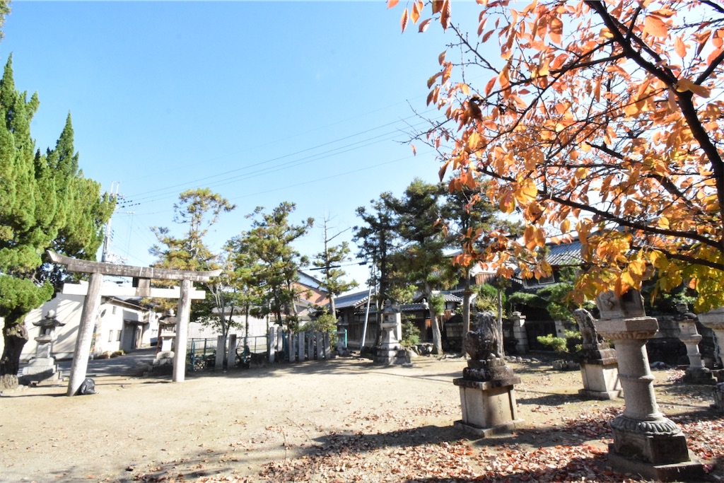 f:id:balladlee:20251124233538j:image