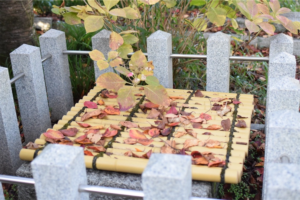 桜の井戸〜「桜井」の名を生んだ泉