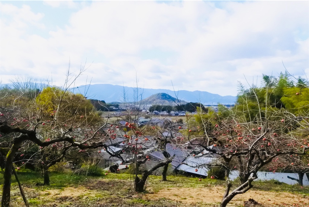 f:id:balladlee:20251219165611j:image