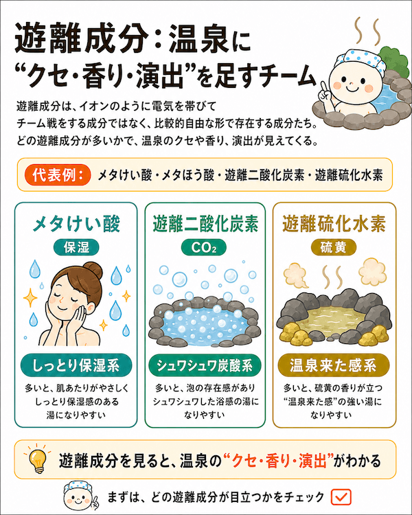 遊離成分：温泉に“クセ・香り・演出”を足すチーム