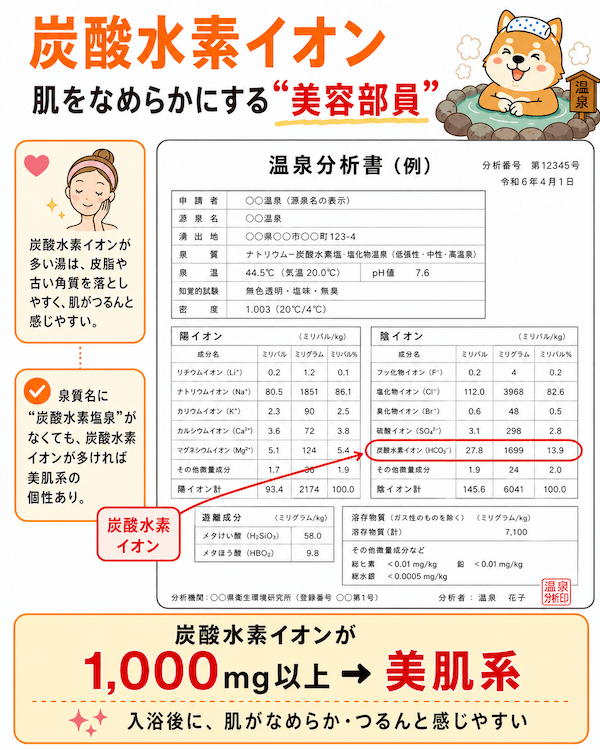 炭酸水素イオン：肌をなめらかにする“美容部員”