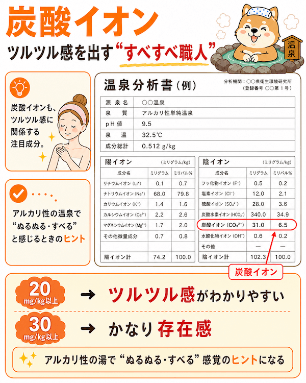 炭酸イオン：ツルツル感を出す“すべすべ職人”