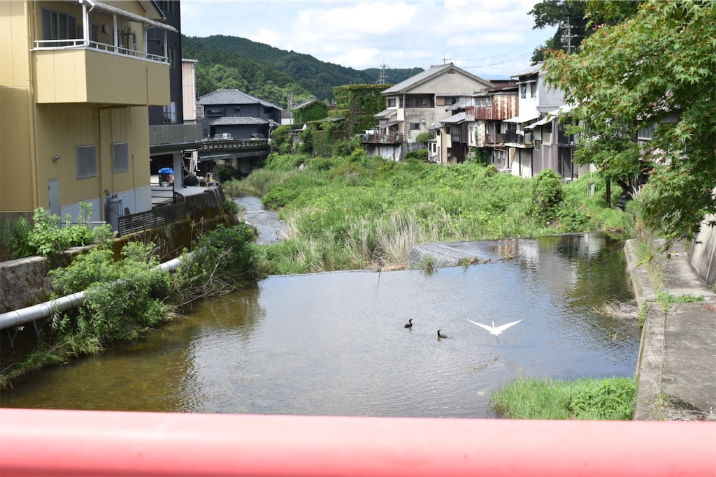 初瀬川〜流れに託す万葉の灯、秋祭りと恋灯篭のゆくえ