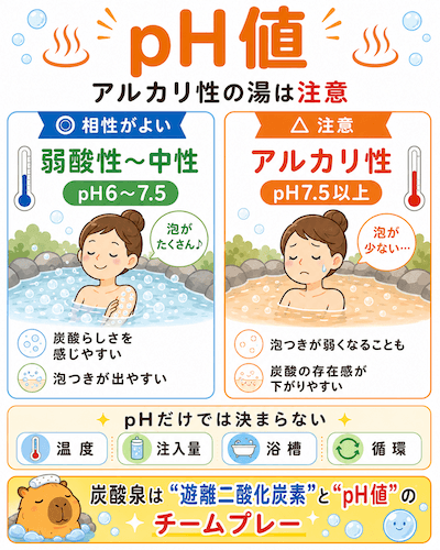 炭酸泉とは?“しゅわしゅわ詐欺”に遭わない「高濃度炭酸泉」のカラクリ