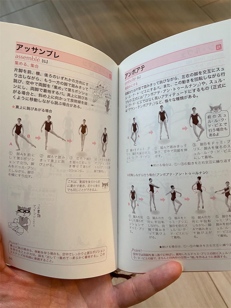 よくわかる バレエ用語集を買いました Ballet Boy バレエはじめてみました