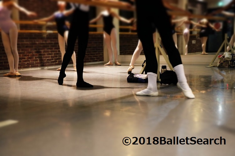 f:id:balletsearch:20180126214805j:plain f:id:balletsearch:20180126214805j:plain