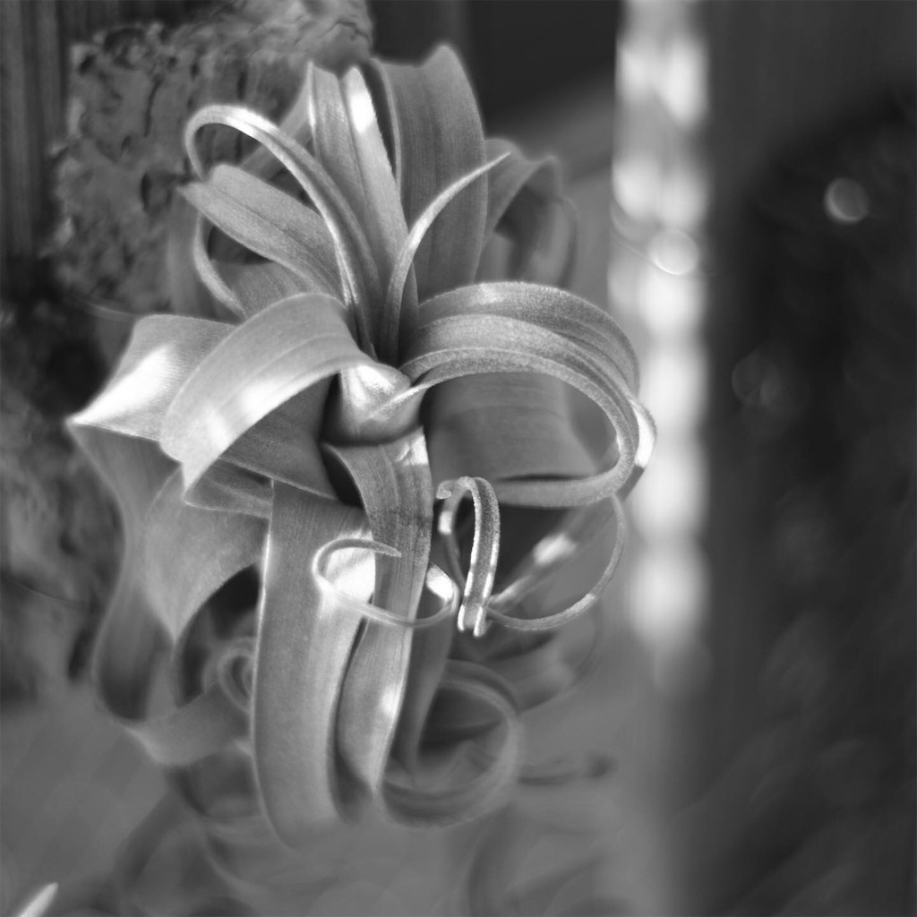 f:id:ballon85:20200831224435j:image f:id:ballon85:20200831224435j:image