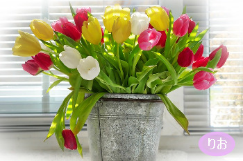 f:id:ballooon:20180503130205j:plain f:id:ballooon:20180503130205j:plain