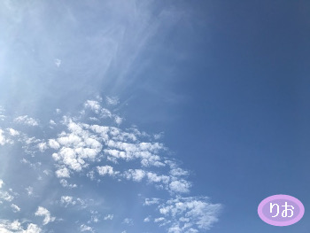 f:id:ballooon:20191127144701j:plain f:id:ballooon:20191127144701j:plain