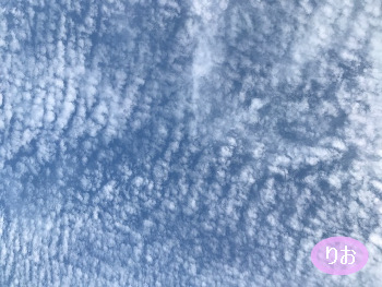 f:id:ballooon:20191127144746j:plain f:id:ballooon:20191127144746j:plain
