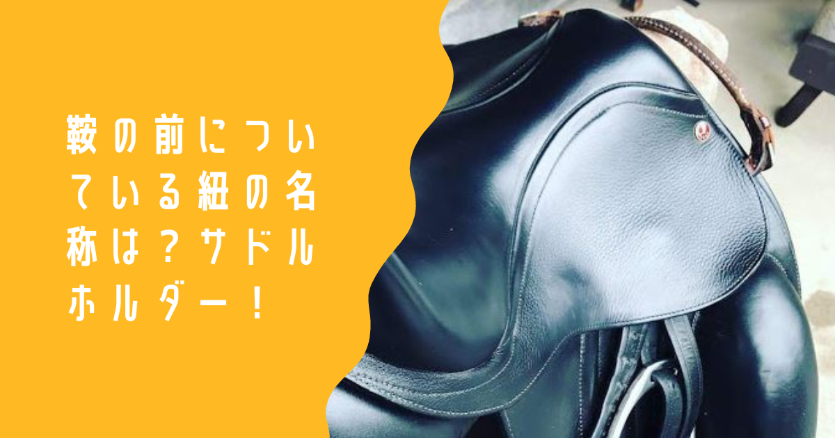 鞍の前についている紐の名称はサドルホルダー - BALOG 3.0 －庶民が乗馬を趣味にしたblog