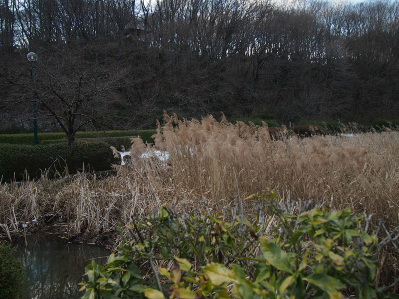 f:id:bals326:20130112224405j:image:w480