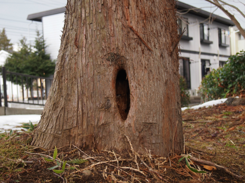 f:id:bals326:20130202230433j:image:w480 f:id:bals326:20130202230433j:image:w480