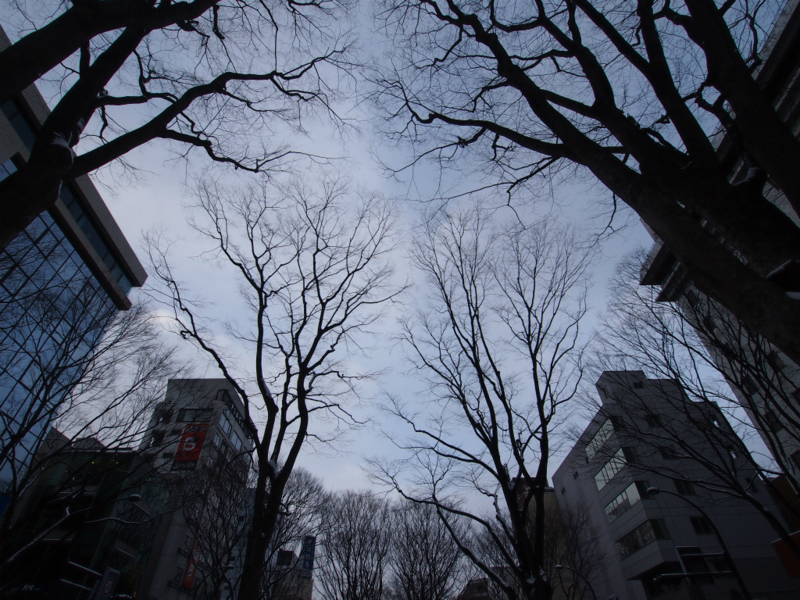 f:id:bals326:20130216205410j:image:w480 f:id:bals326:20130216205410j:image:w480