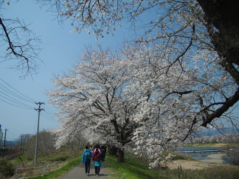 f:id:bals326:20130414105442j:image:w480 f:id:bals326:20130414105442j:image:w480
