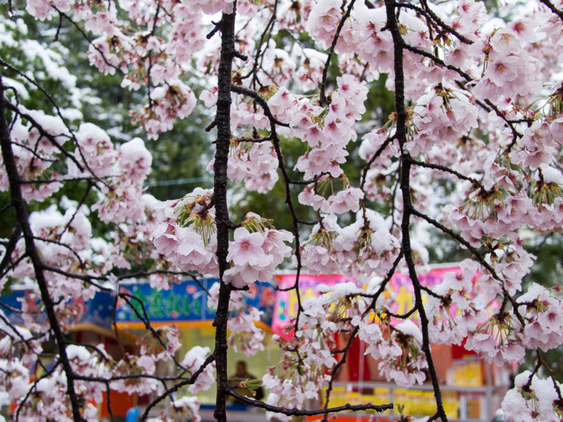 f:id:bals326:20130421110250j:image:w480 f:id:bals326:20130421110250j:image:w480