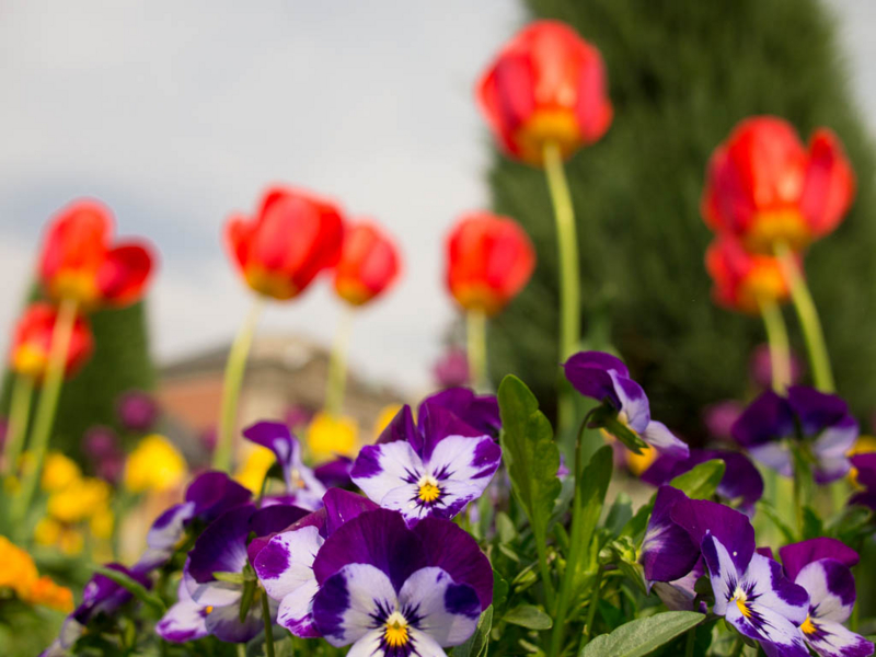 f:id:bals326:20130506142733j:image:w480 f:id:bals326:20130506142733j:image:w480