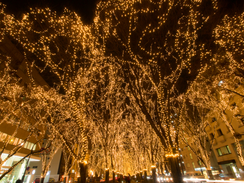 f:id:bals326:20131226191939j:image:w480 f:id:bals326:20131226191939j:image:w480