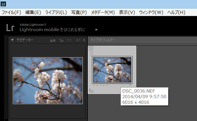 f:id:bals326:20140409234424p:image:w500 f:id:bals326:20140409234424p:image:w500