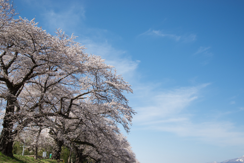 f:id:bals326:20140413215640j:image:w540 f:id:bals326:20140413215640j:image:w540
