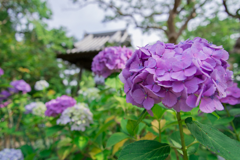 f:id:bals326:20140706220704j:image:w540 f:id:bals326:20140706220704j:image:w540