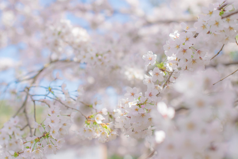 f:id:bals326:20150405221455j:image:w540 f:id:bals326:20150405221455j:image:w540