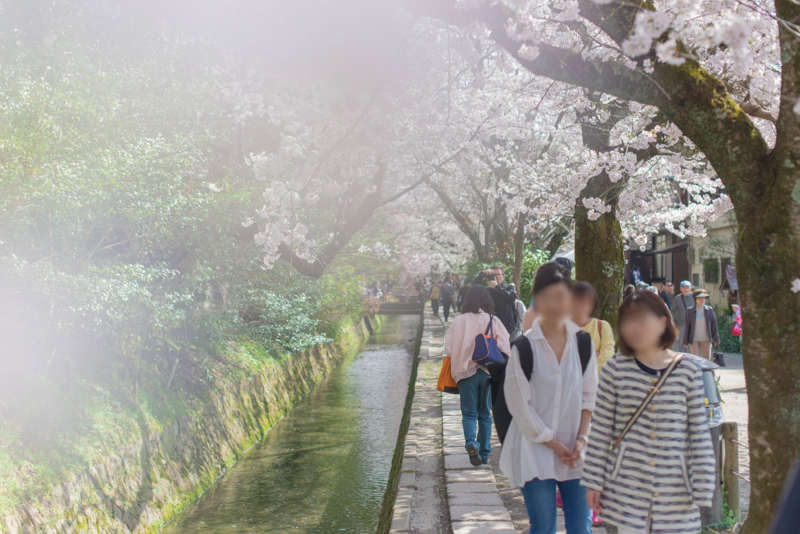 f:id:bals326:20150405221456j:image:w540 f:id:bals326:20150405221456j:image:w540