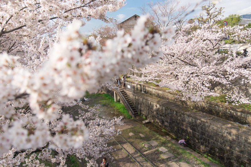 f:id:bals326:20150405221458j:image:w540 f:id:bals326:20150405221458j:image:w540