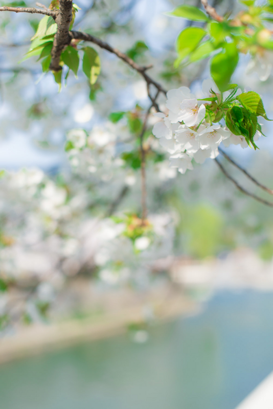 f:id:bals326:20150405221459j:image:w380 f:id:bals326:20150405221459j:image:w380