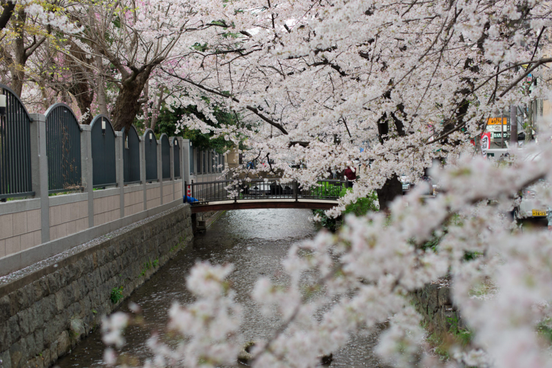 f:id:bals326:20150405221500j:image:w540 f:id:bals326:20150405221500j:image:w540