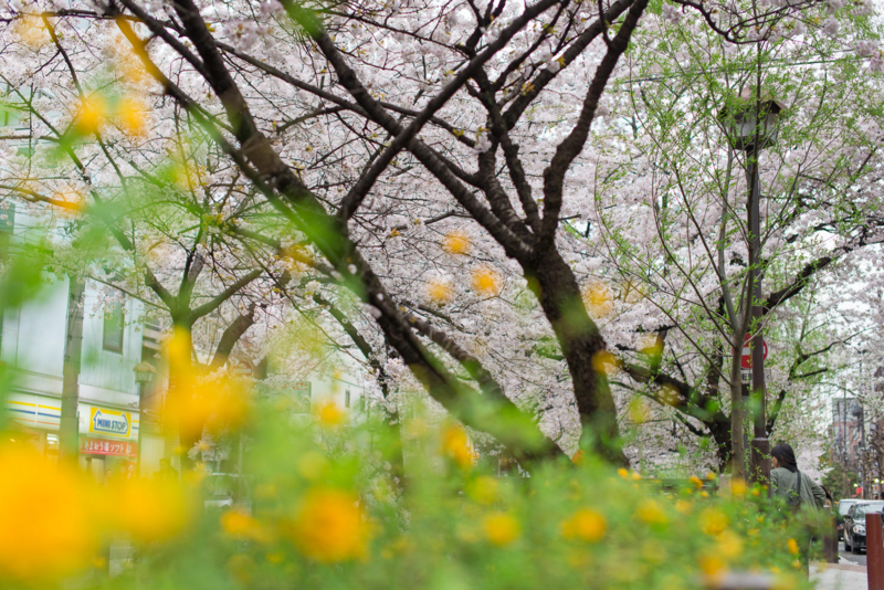 f:id:bals326:20150405221501j:image:w540 f:id:bals326:20150405221501j:image:w540