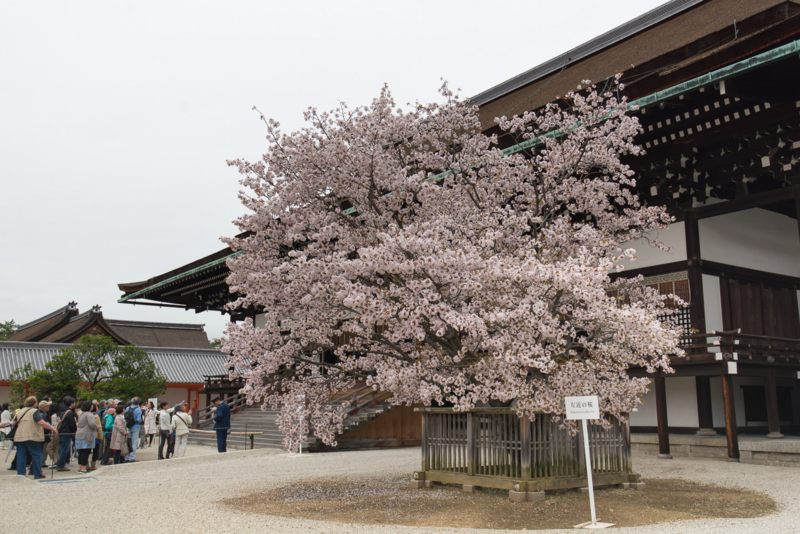 f:id:bals326:20150406214739j:image:w540 f:id:bals326:20150406214739j:image:w540