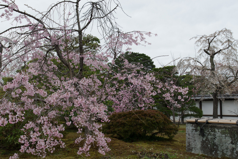 f:id:bals326:20150406214740j:image:w540 f:id:bals326:20150406214740j:image:w540