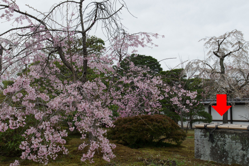 f:id:bals326:20150406214741j:image:w480 f:id:bals326:20150406214741j:image:w480