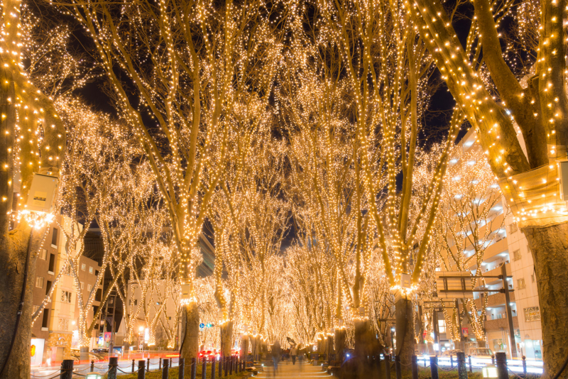 f:id:bals326:20151228225323j:image:w540 f:id:bals326:20151228225323j:image:w540