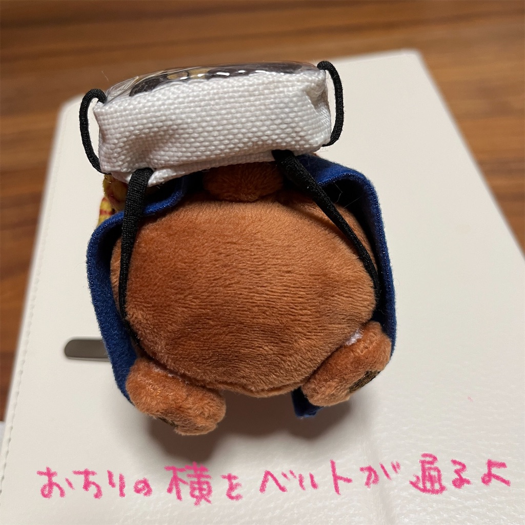 f:id:bam38:20240209210014j:image