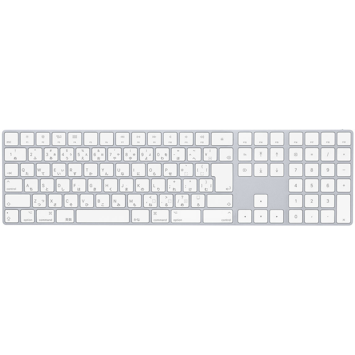 f:id:bambamboo333:20191031130201j:plain f:id:bambamboo333:20191031130201j:plain