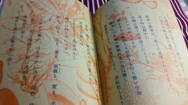 f:id:bambi_eco1020:20150921205149j:plain f:id:bambi_eco1020:20150921205149j:plain