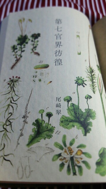 f:id:bambi_eco1020:20150921205523j:plain f:id:bambi_eco1020:20150921205523j:plain