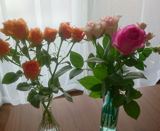 f:id:bambi_eco1020:20190601224544j:image