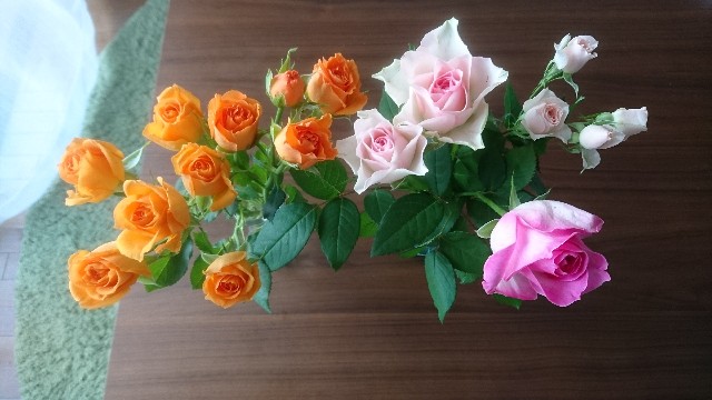 f:id:bambi_eco1020:20190601225128j:image