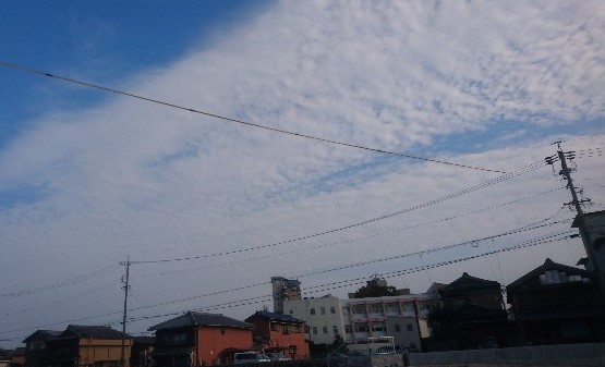 f:id:bambi_eco1020:20191028104542j:plain f:id:bambi_eco1020:20191028104542j:plain