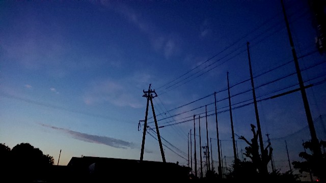 f:id:bambi_eco1020:20200512210243j:image f:id:bambi_eco1020:20200512210243j:image
