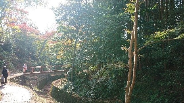f:id:bambi_eco1020:20201127170232j:image
