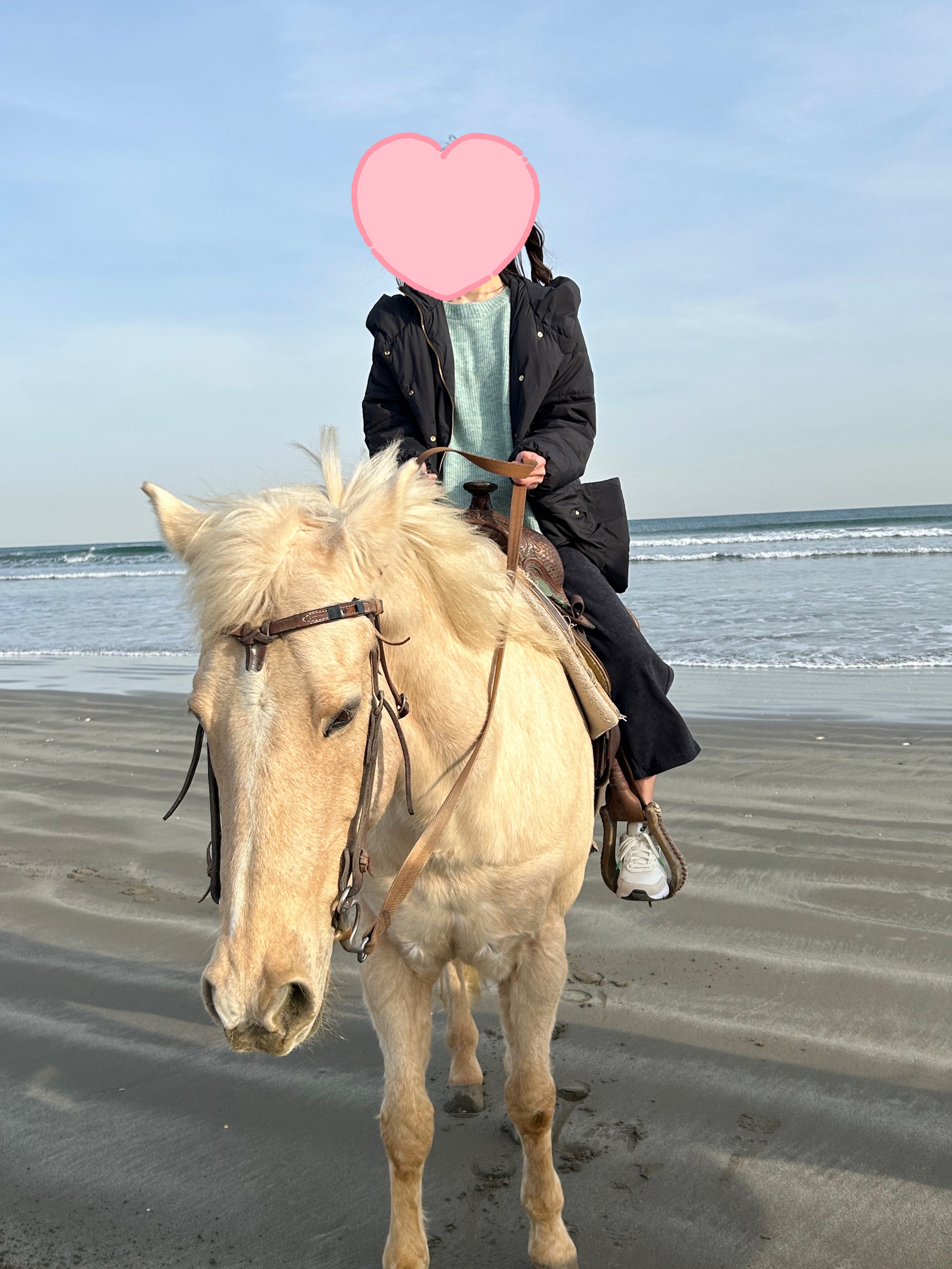 f:id:bambidiary:20241224205436j:image