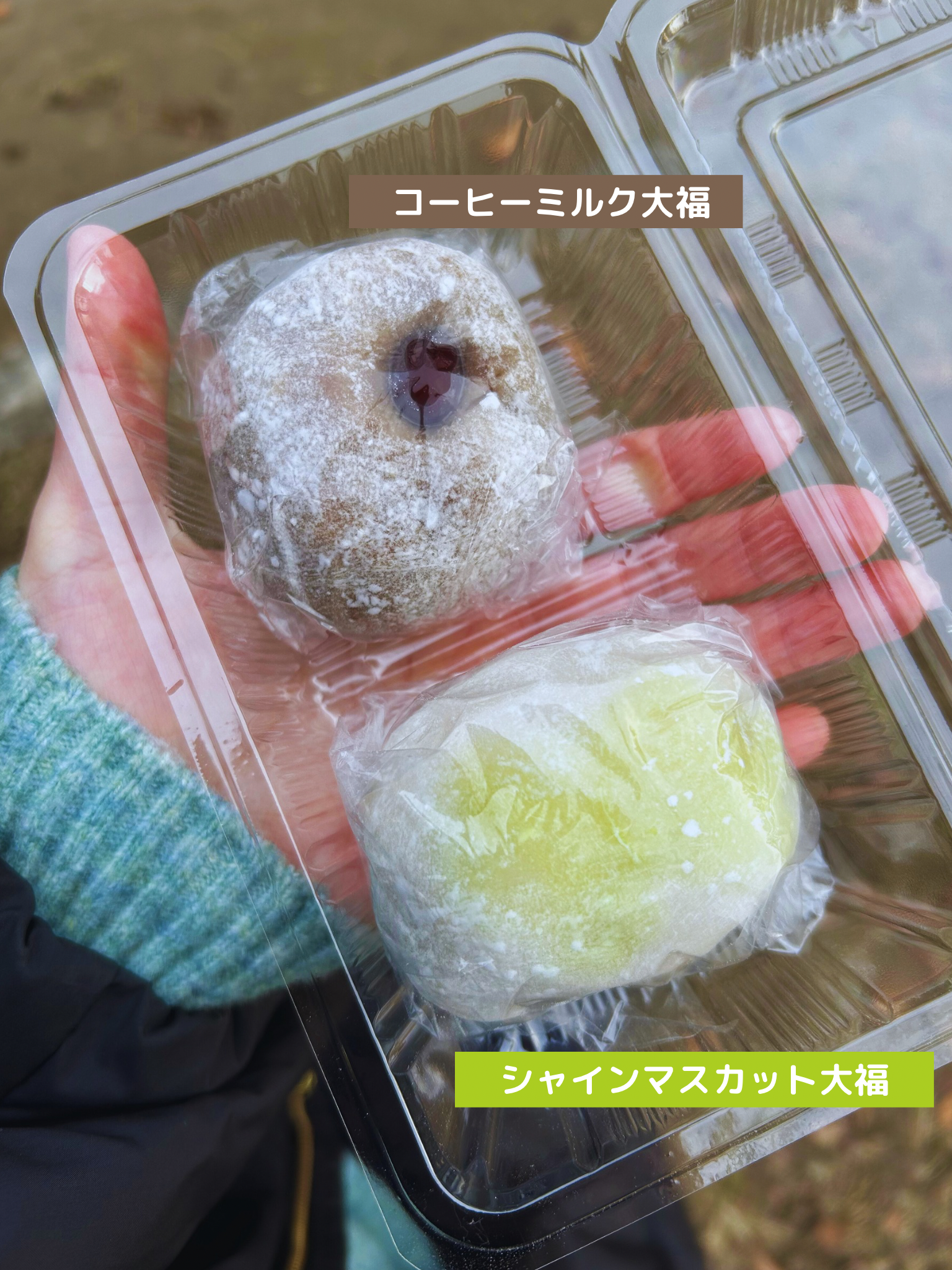 f:id:bambidiary:20241224205446p:image