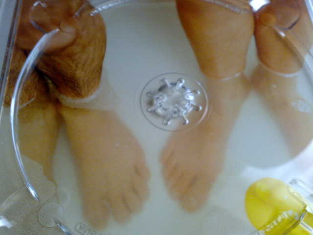 f:id:bamboo_away_team:20090310130118j:image