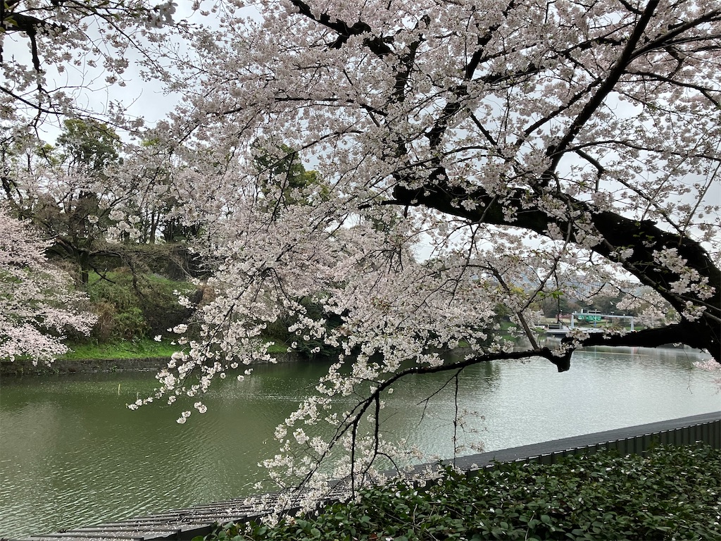 f:id:bamboodancer:20230326145647j:image