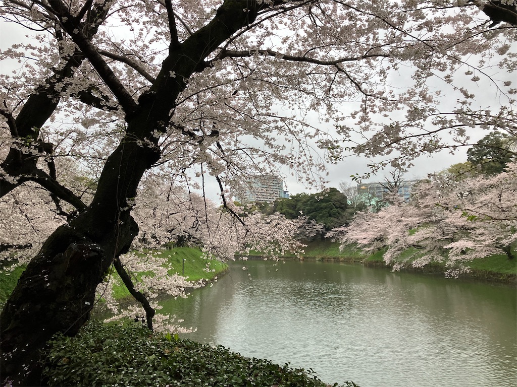 f:id:bamboodancer:20230326145650j:image