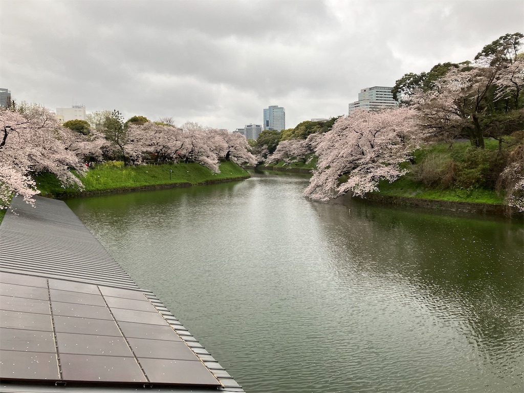 f:id:bamboodancer:20230326145653j:image